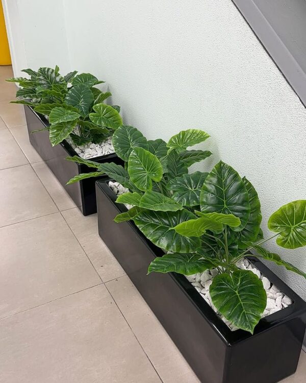 Plant Box
