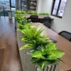 Plant Box