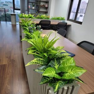 Plant Box