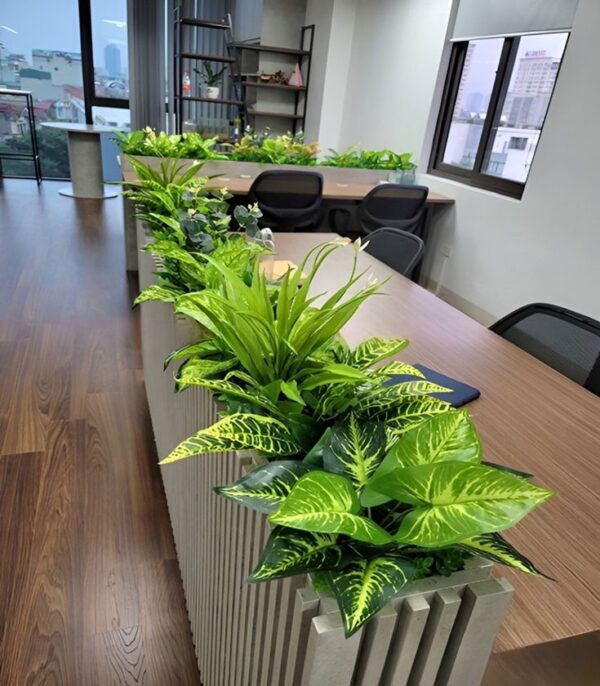 Plant Box