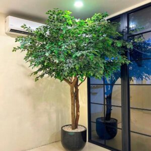 Pohon Bringin Artificial 150cm