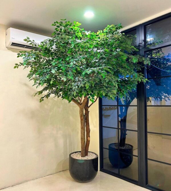 Pohon Bringin Sintetis 150cm