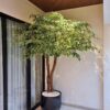 Pohon Bringin Sintetis 150cm