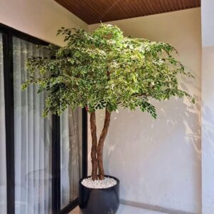 Pohon Bringin Sintetis 150cm